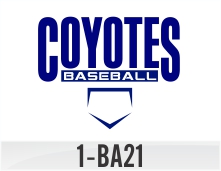 1-ba21