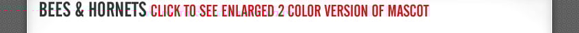 Bees & Hornets