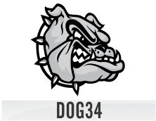 dog34