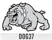 dog37