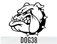 dog38
