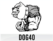 dog40