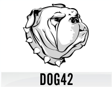 dog42