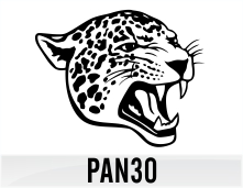 pan30
