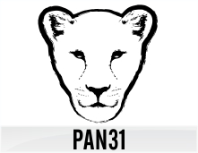 pan31
