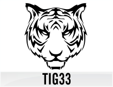 tig33