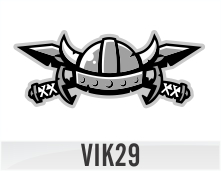 VIK29